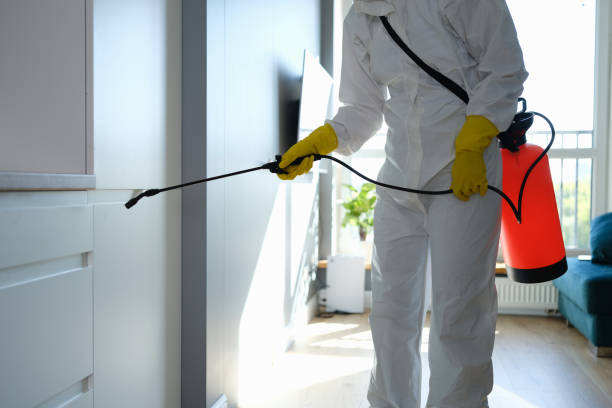 Best Post-Remediation Services in Hardinsburg, KY